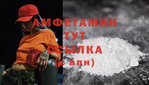 a pvp Бородино