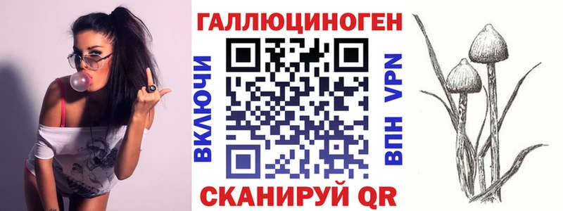 дарнет шоп  Волгореченск  Галлюциногенные грибы прущие грибы 